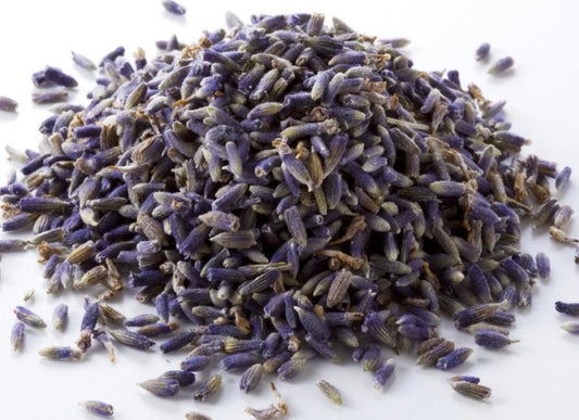 Lavender Flowers Semi Blue #3