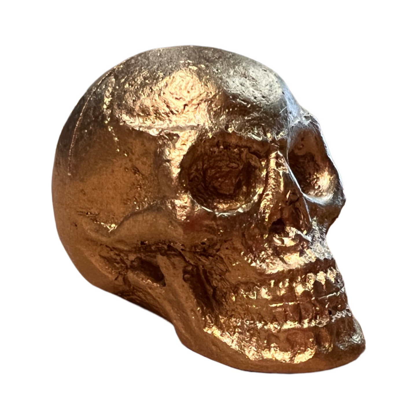 Skull Card Holder