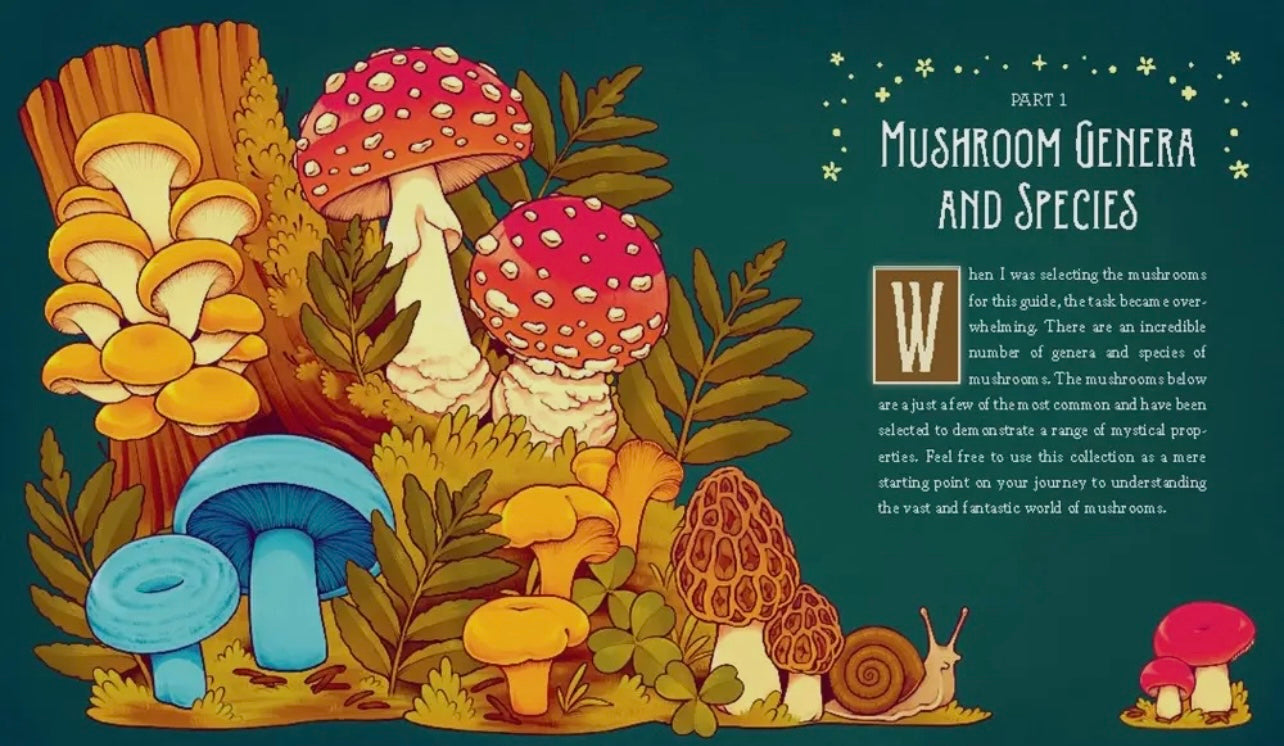 Mushroom Magick