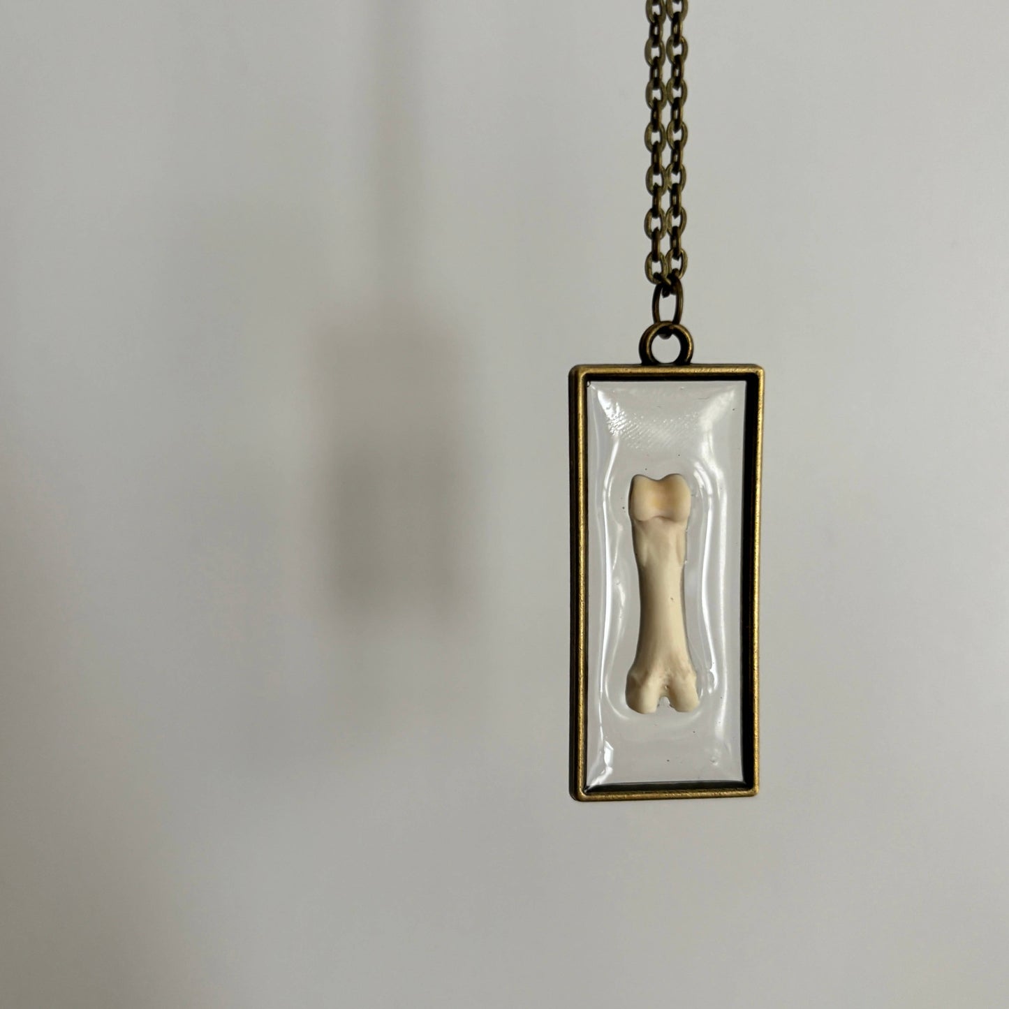 Oddity Necklace - Raccoon Toe Bone