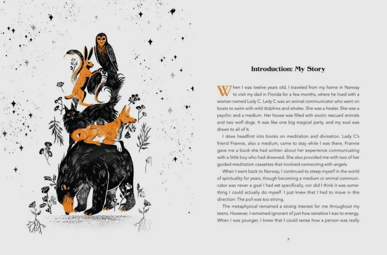 Animal Intuition Book