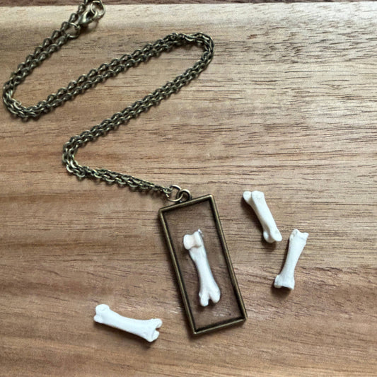 Oddity Necklace - Raccoon Toe Bone