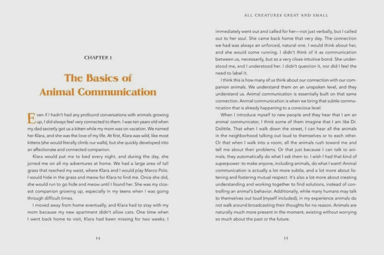 Animal Intuition Book