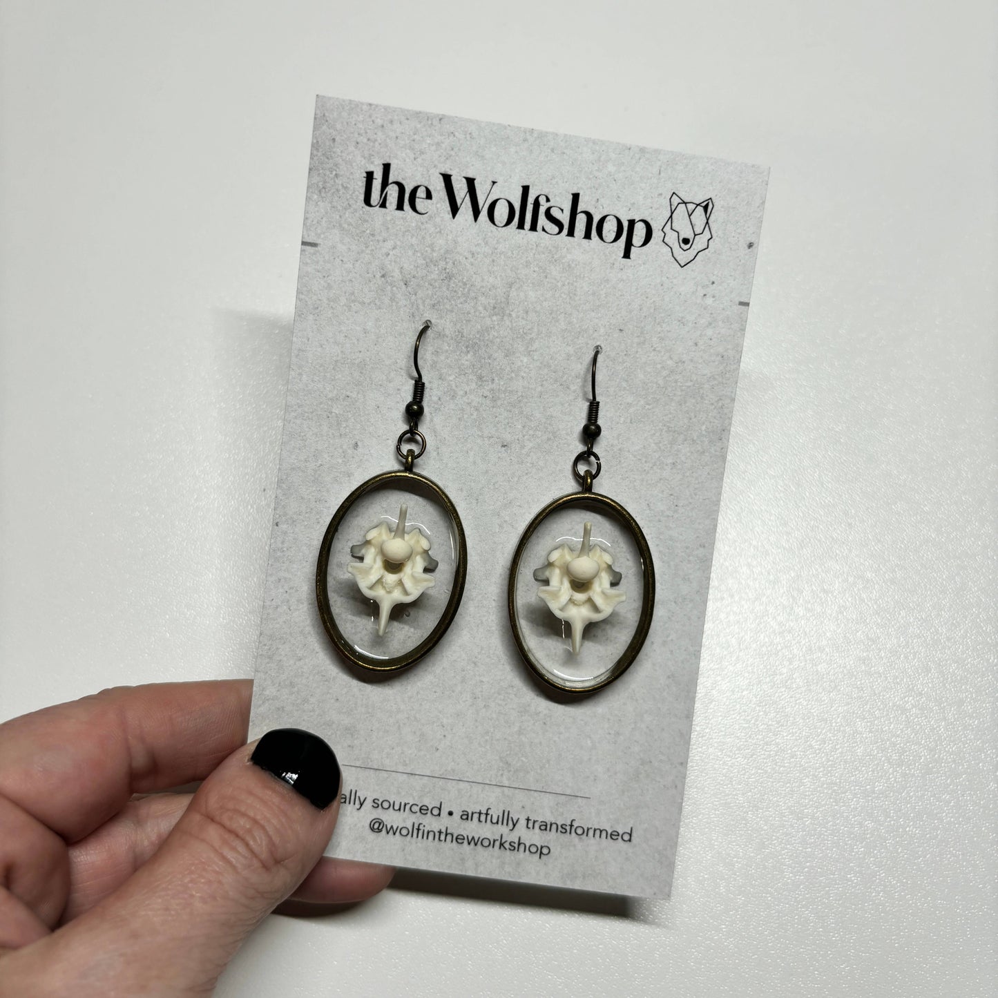 Oddity Earring - Ball Python Vertebrae