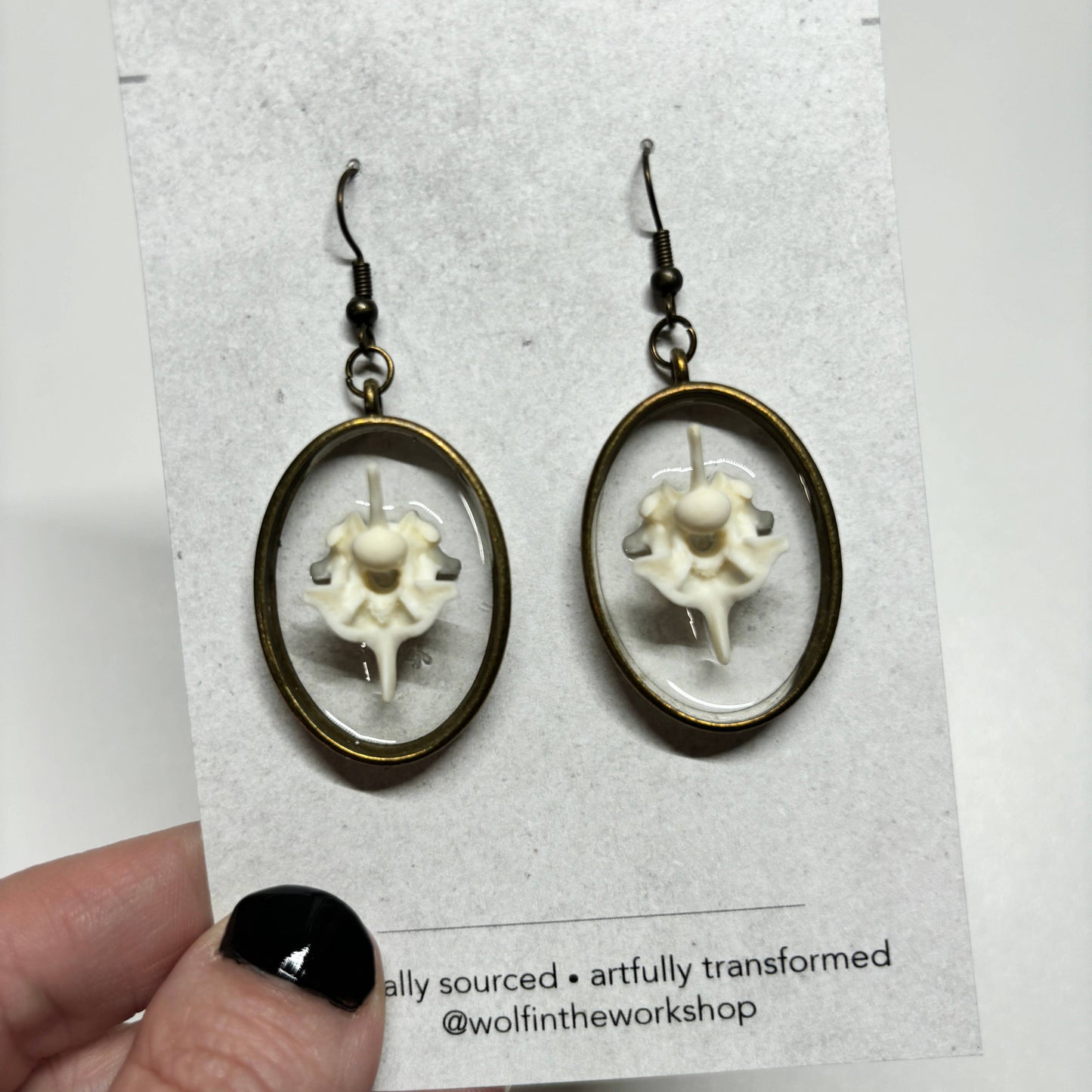Oddity Earring - Ball Python Vertebrae