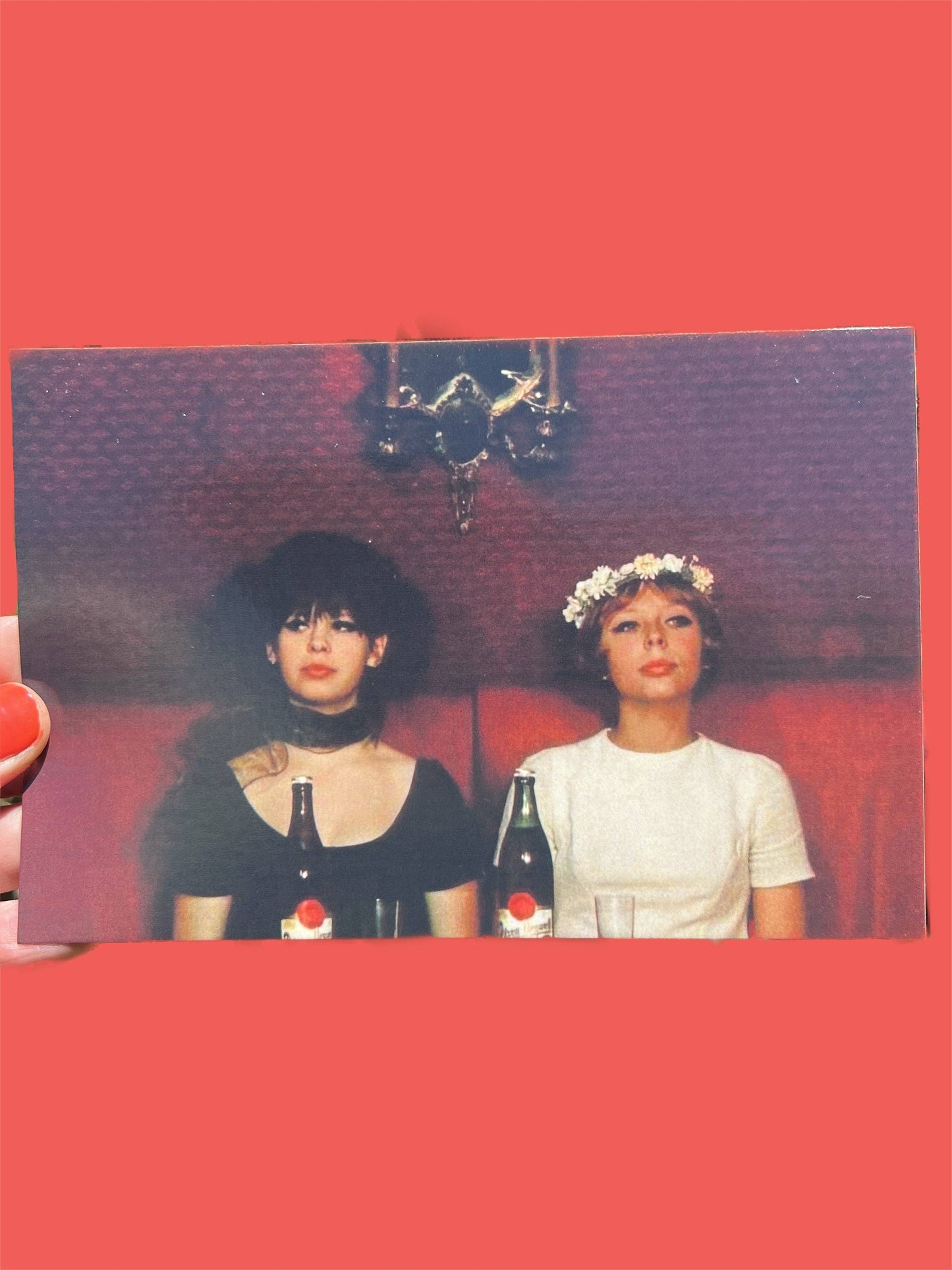 Astral Weekend - POSTCARD Daisies