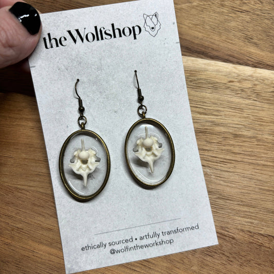 Oddity Earring - Ball Python Vertebrae