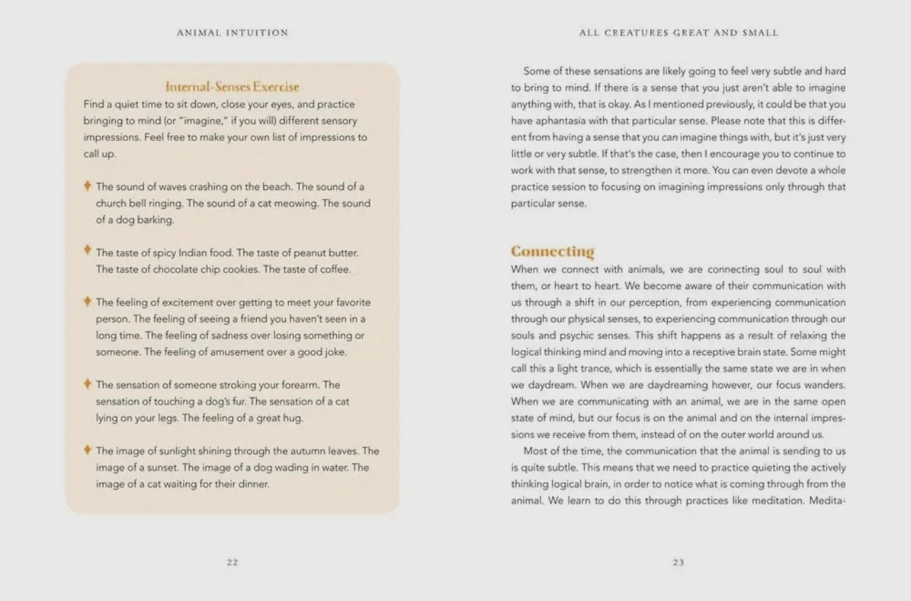 Animal Intuition Book