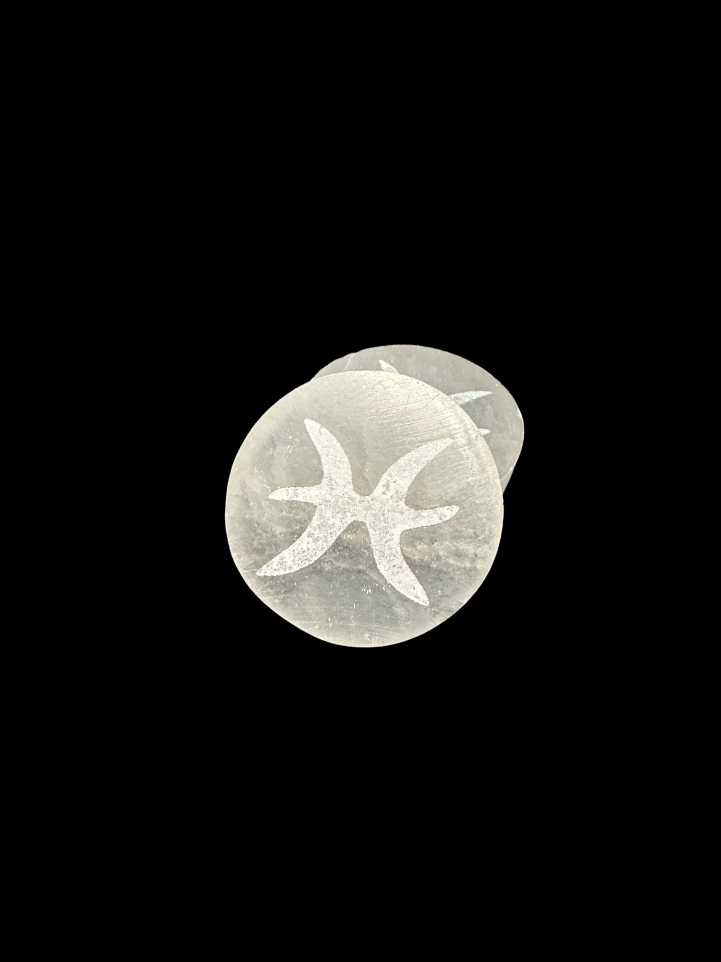 Zodiac Selenite Disc