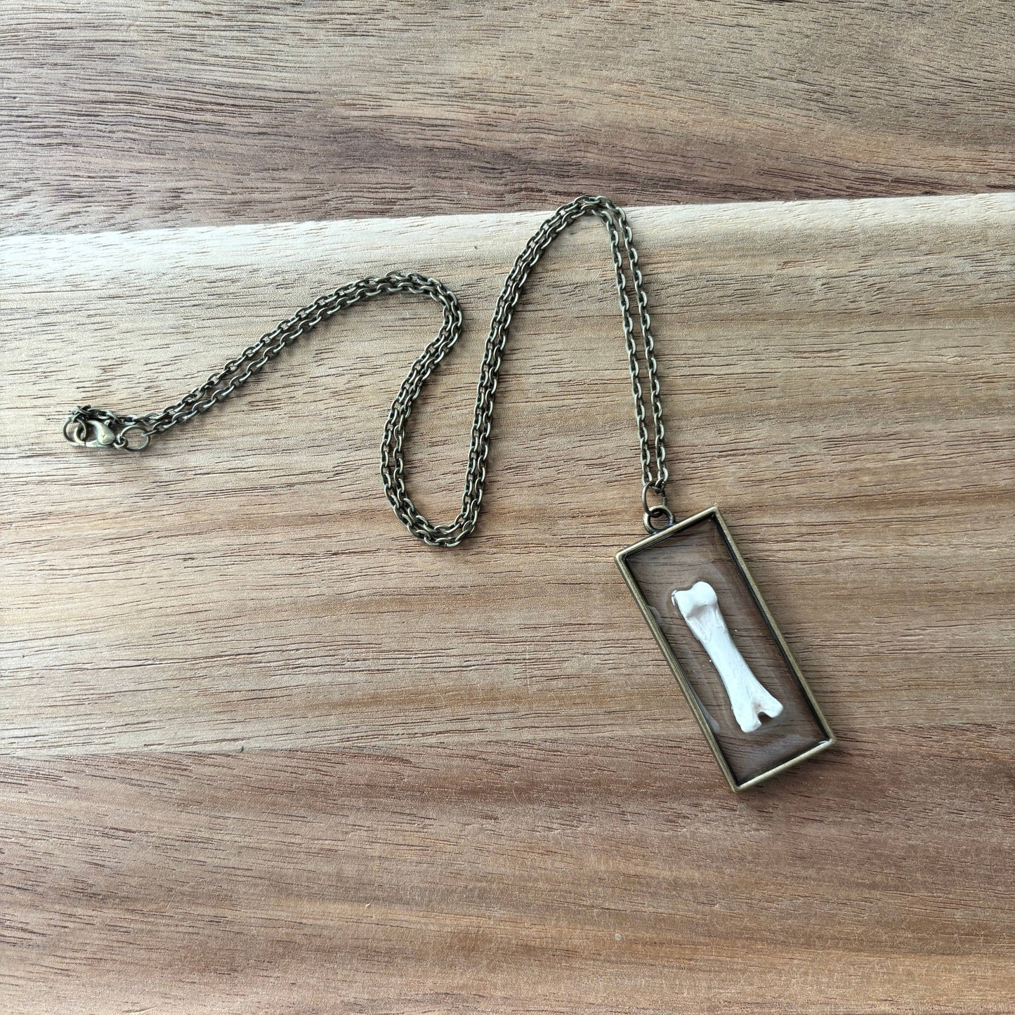 Oddity Necklace - Raccoon Toe Bone
