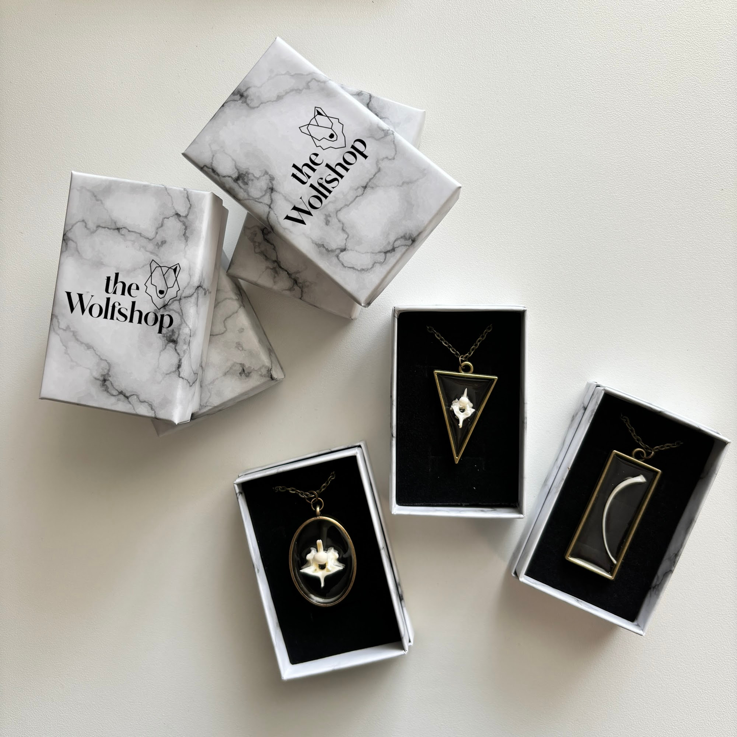 Oddity Necklace - Raccoon Toe Bone