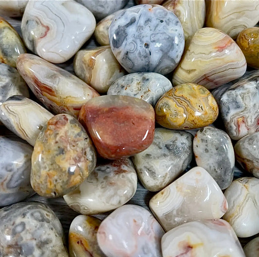 Crazy Lace Agate Tumbled Stones
