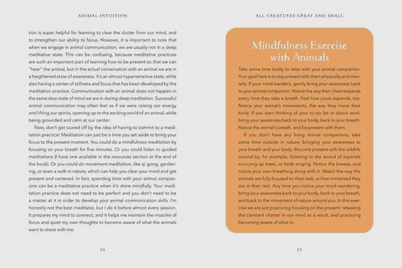 Animal Intuition Book