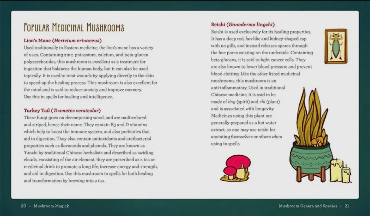Mushroom Magick