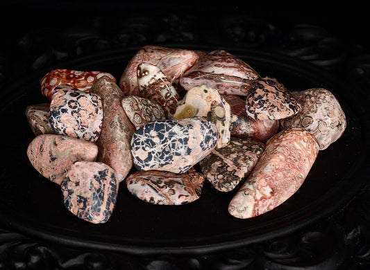 Leopard Skin Jasper Tumbled Stones