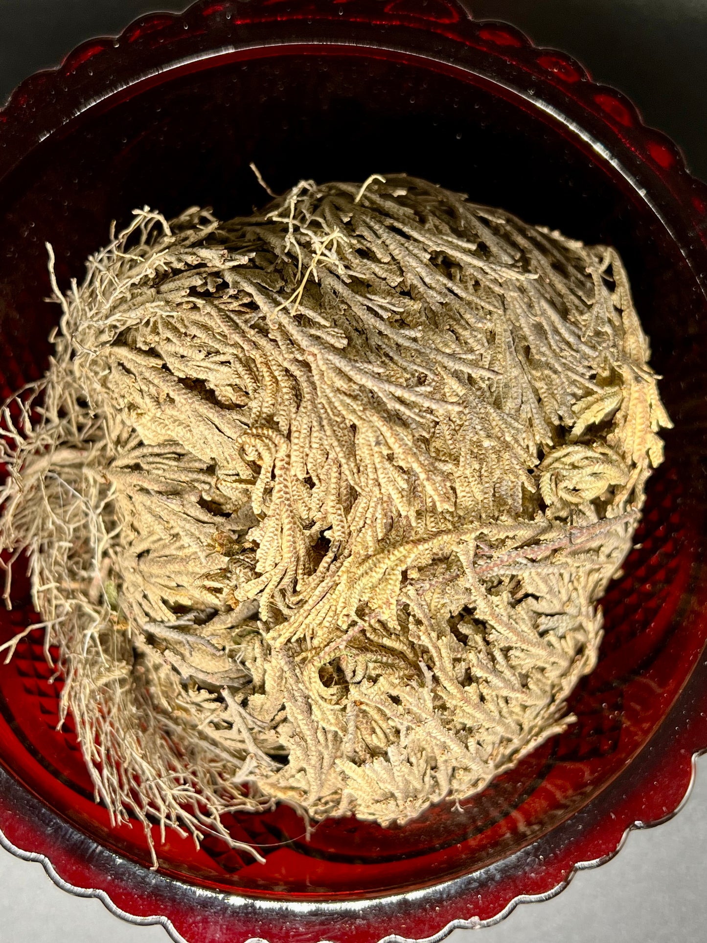 Rose of Jericho
