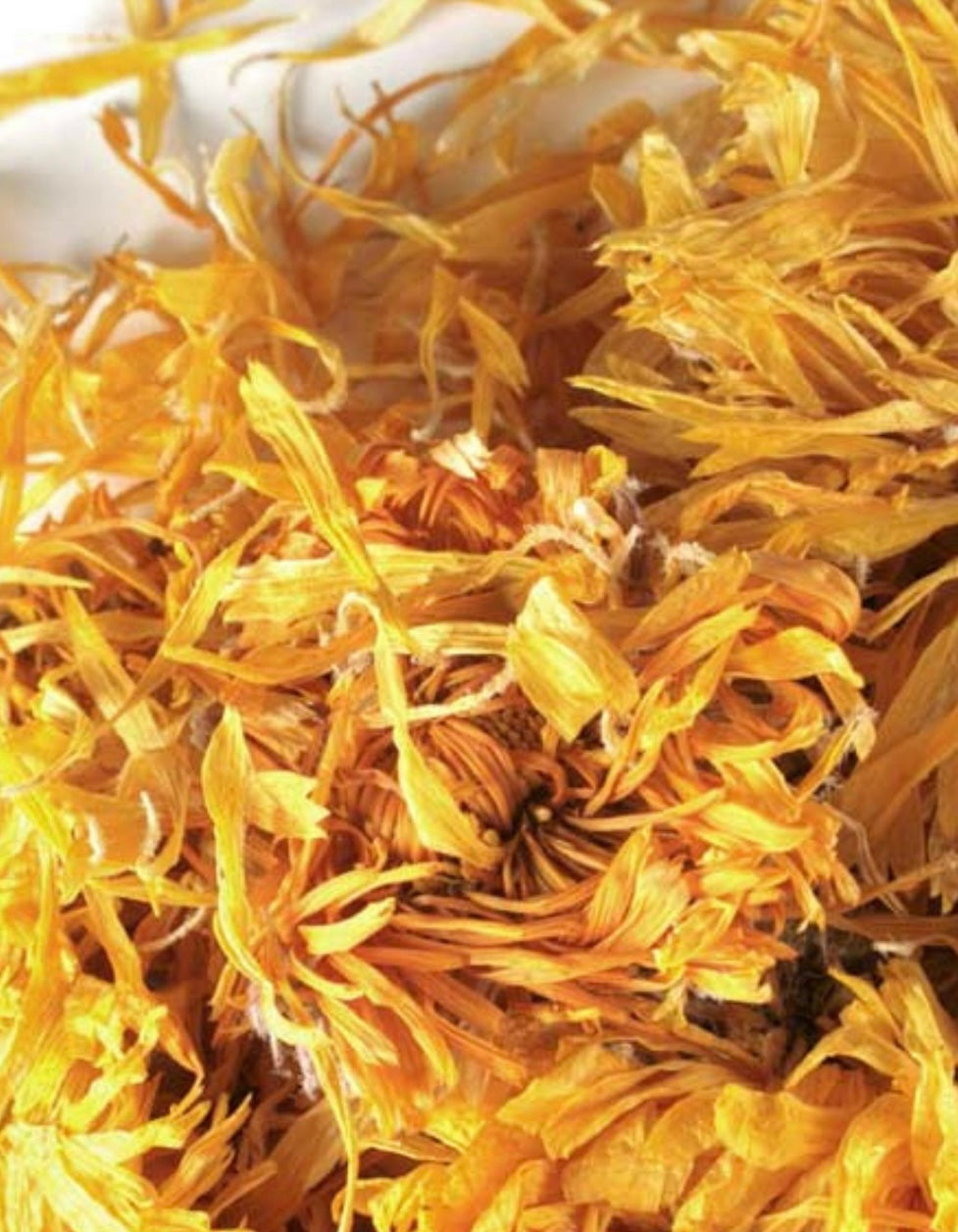 Calendula Petals